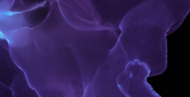 Alkol mürekkebi dokusu. Art Digital Ancient Design. Macro sanat eserlerini karıştır. Siyah Modern Alkol Mürekkebi dokusu. Duman Grafik Sıçrama Arkaplanı. Mermer Grunge Sanat. Sıvı Duman Karışımı.