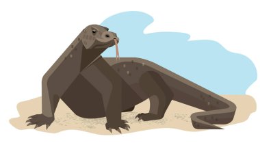 Kumlu sahildeki Komodo ejderhası temkinli bir duruşta dondu, biçimlendirilmiş görüntü, vektör illüstrasyonu