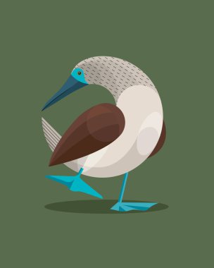 Çiftleşme mevsiminde erkek mavi ayaklı memeler pençelerini kaldırarak dişiye renklerini gösterir. Pençelerin mavi rengi ne kadar zenginse erkeğin bir aile kurma şansı o kadar artar.