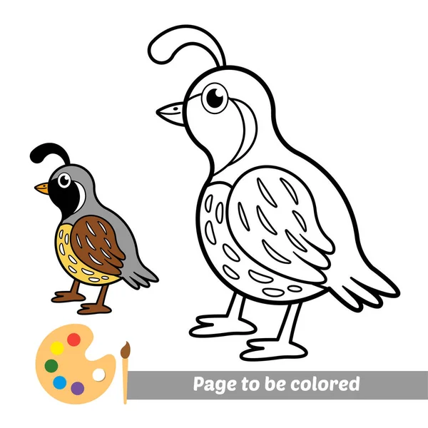 Coloring Book Quail Bird Vector — Stockvektor