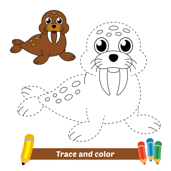 Trace Color Kids Walrus Vector — Archivo Imágenes Vectoriales