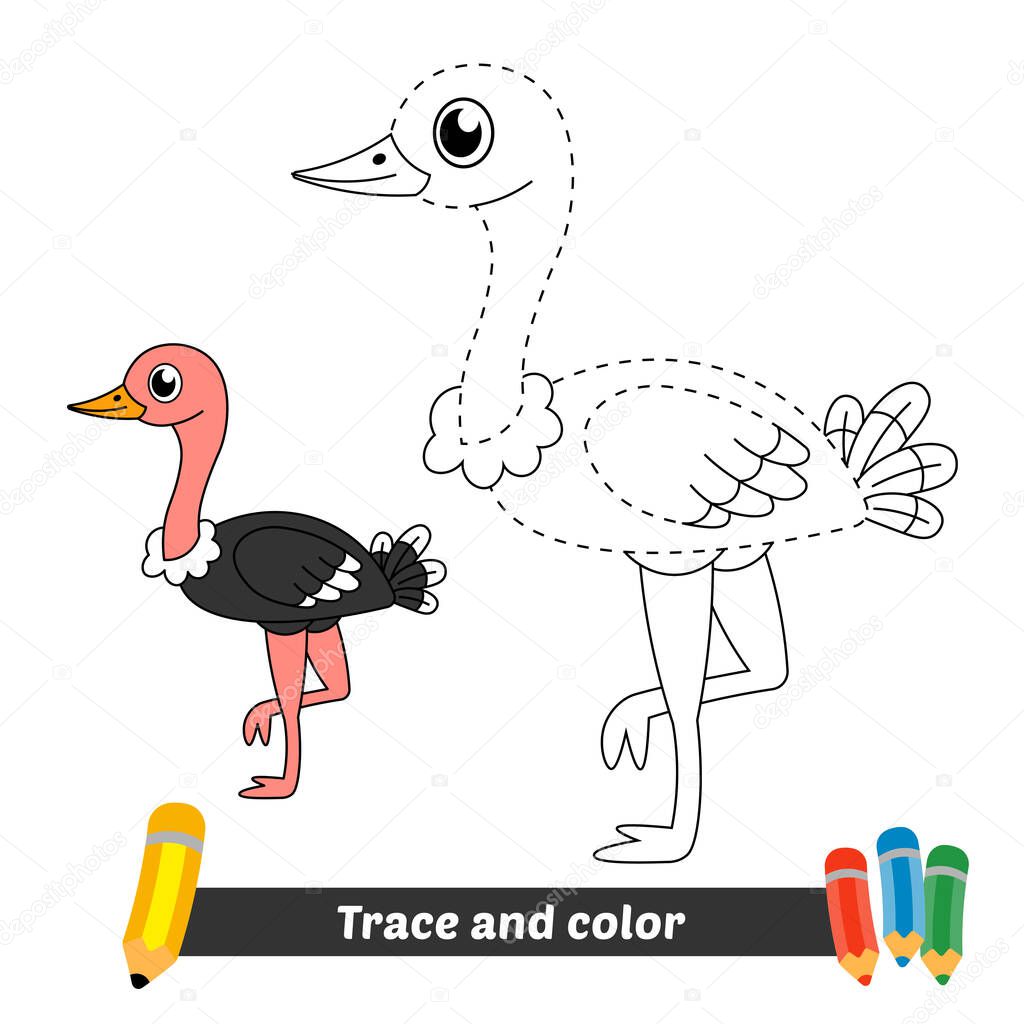Trace and color for kids, ostrich vector