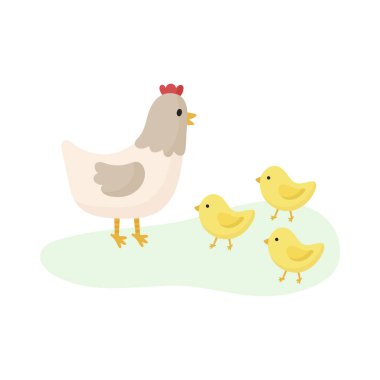 Tavuklu tavuk. Vektör illüstrasyonu