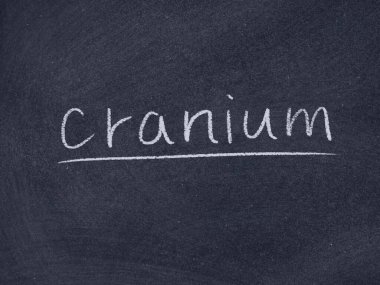 karatahta arka planında kafatası konsepti