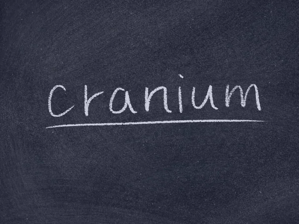 karatahta arka planında kafatası konsepti