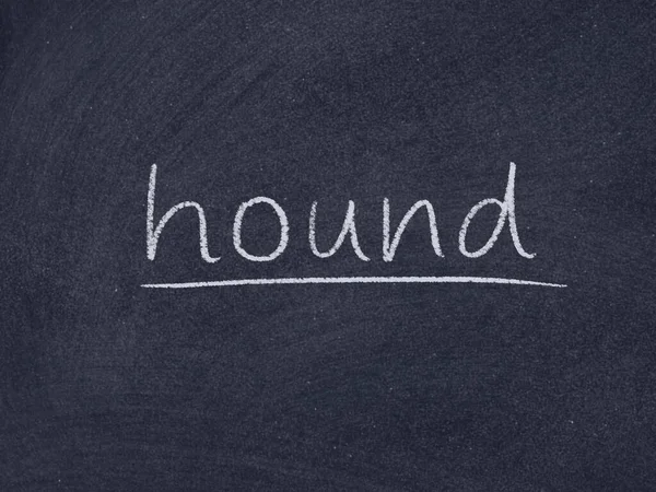 Hound Concept Woord Schoolbord Achtergrond — Stockfoto