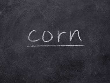 Tahta arka planda mısır kavramı kelimesi