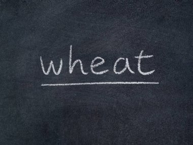 Tahta arka planda buğday kavramı kelimesi