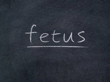 fetüs kavramı kelime karatahta arka plan