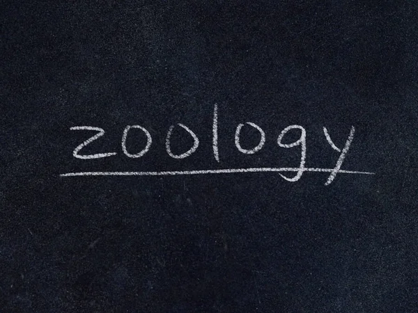 Zoologia Conceito Palavra Fundo Quadro Negro — Fotografia de Stock