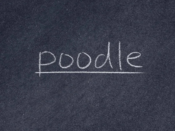 Poedel Concept Woord Schoolbord Achtergrond — Stockfoto