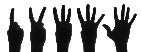 Silhouette Hands Numbers White Background — Stock Photo, Image