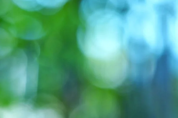 Nature Green Bokeh Light Blur Background Green Leaves Blur — Stock Fotó