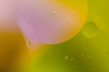 Abstract droplets oil bubbles on the water colorful background, macro photography oil bubbles surface