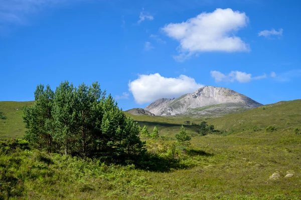 Beinn Eighe, Achnasheen with a tree in the foreground