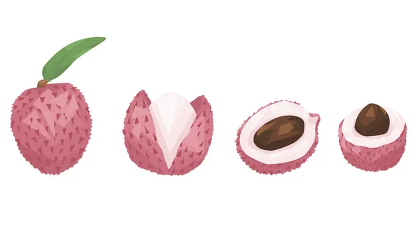 Lychee seti beyaz arkaplanda izole edildi. Bütün liçi kabuklu. Kırık liçi. Yarım liçi. Kemik. Egzotik meyveler. Geometrik stil. düz vektör.
