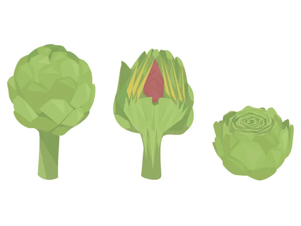 Enginar seti beyaz arkaplanda izole edildi. Enginar, yarım ve bir dilim enginar. Taze sebze. Hasat. Geometrik stil. düz vektör.