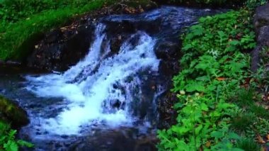 Taze dağ nehri suyu çağlayanlarla dolup taşarken doğal arazide akıyor..