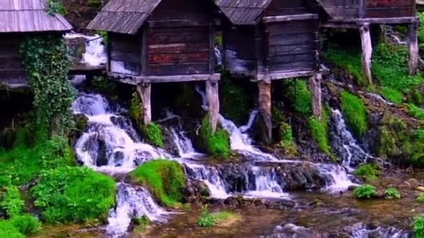 Traditionelle Wassermühlen Fluss Pliva Bosnien Und Herzegowina — Stockvideo