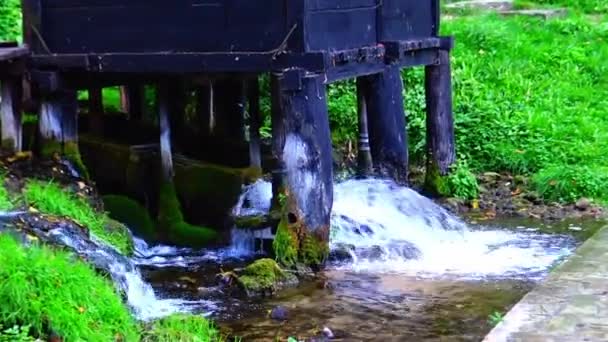 Bosna Hersek Pliva Nehri Üzerindeki Geleneksel Değirmenleri — Stok video