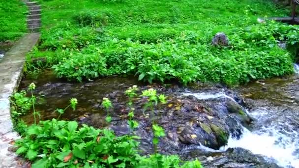 Frisches Gebirgsflusswasser Das Kaskaden Bildet Während Durch Die Natürliche Landschaft — Stockvideo