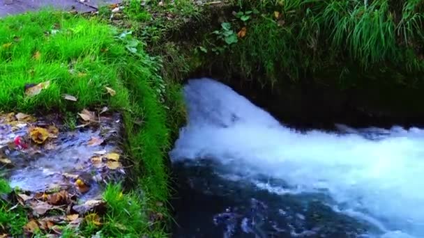 Água Fresca Rio Montanha Fazendo Cascatas Enquanto Flui Através Paisagem — Vídeo de Stock