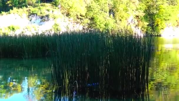 Bosna Hersek Teki Pliva Göllerine Bak — Stok video