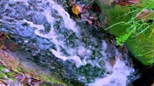 Tradiční Vodní Mlýny Řece Pliva Bosně Hercegovině — Stock video