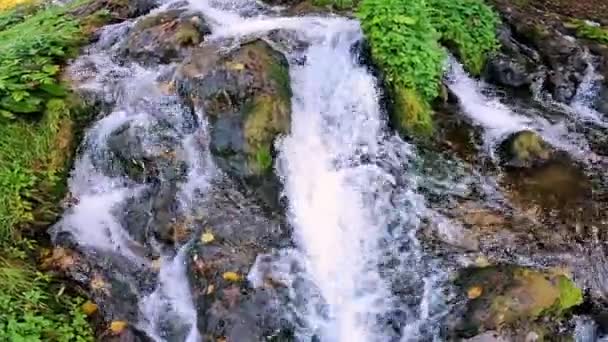 Moinhos Água Tradicionais Rio Pliva Bósnia Herzegovina — Vídeo de Stock