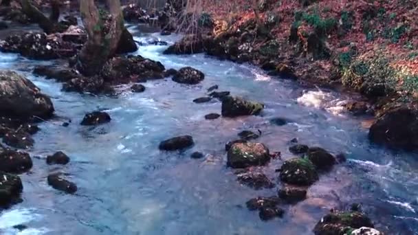 Dağ Nehrinin Tatlı Suyu Kayalık Arazinin Üzerinden Geçiyor — Stok video
