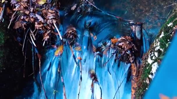 河水从干枯的树叶和小树枝上落下来 — 图库视频影像
