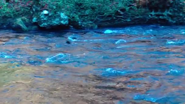 Dağ Nehri Taze Sonbahar Gününde Doğal Ortamda Akıyor — Stok video