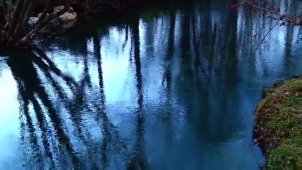 Bergrivier Stroomt Door Natuurlijke Omgeving Tijdens Frisse Herfstdag — Stockvideo