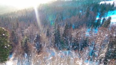 Winter storm at mountain Jahorina in Bosnia and Herzegovina.