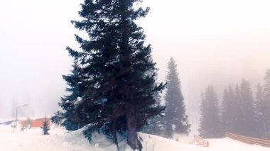 Winter storm at mountain Jahorina in Bosnia and Herzegovina.