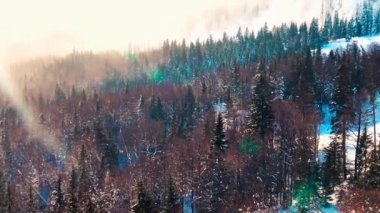 Wind storm during winter day at Jahorina, Bosnia and Herzegovina.