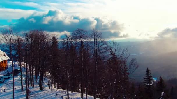 Winter Storm Mountain Jahorina Bosnia Herzegovina — Stockvideo