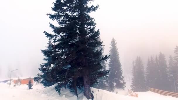 Tempestade Inverno Montanha Jahorina Bósnia Herzegovina — Vídeo de Stock