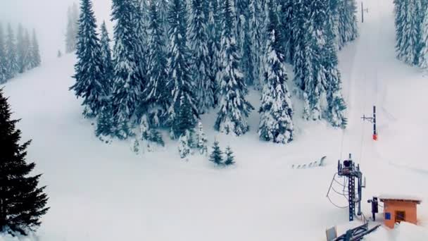 Tempestade Neve Durante Dia Inverno Jahorina Bósnia Herzegovina — Vídeo de Stock