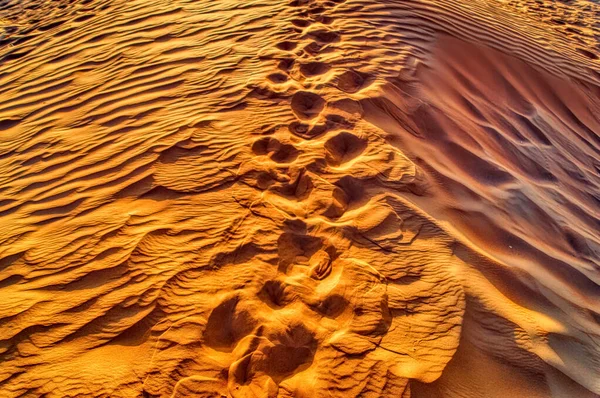 Κόκκινο Τοπίο Της Ερήμου Άμμο — Φωτογραφία Αρχείου