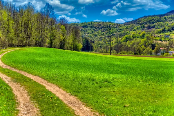 Landschaft Auf Dem Land Von Landwirtschaftlichem Feld Umgeben Von Wald — Stockfoto