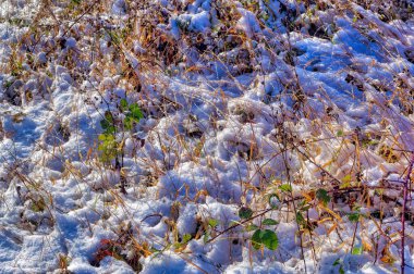 Soğuk kış günü karla kaplı donmuş topraklar.