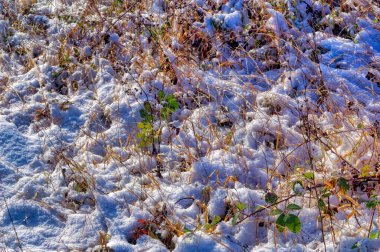 Soğuk kış günü karla kaplı donmuş topraklar.