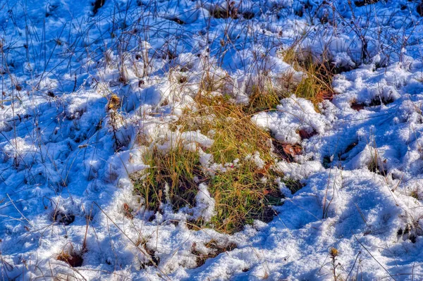 Bevroren Land Bedekt Met Sneeuw Tijdens Koude Winterdag — Stockfoto