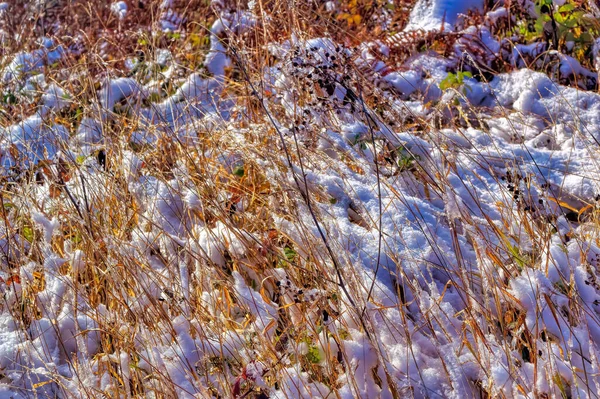 Natuurlandschap Tijdens Koude Winterdag — Stockfoto