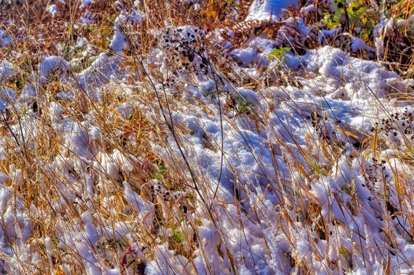 Natürliche Landschaft Kalten Wintertagen — Stockfoto