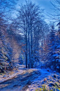 Soğuk kış günü karla kaplı donmuş bir arazi..