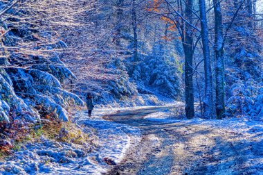 Soğuk kış günü karla kaplı donmuş bir arazi..