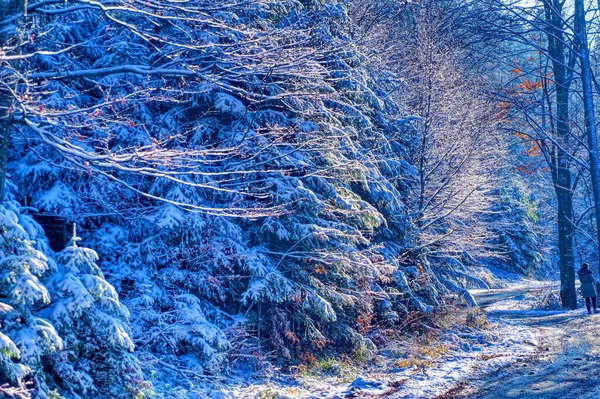 Soğuk kış günü karla kaplı donmuş bir arazi..
