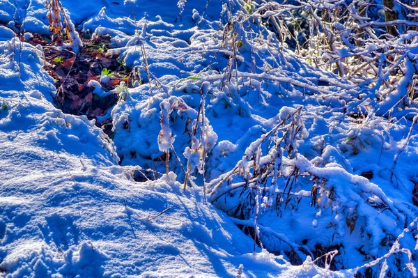 Soğuk Kış Günü Karla Kaplı Donmuş Bir Arazi — Stok fotoğraf